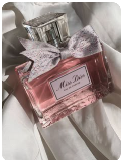 screenshot 2026 02 17 085638